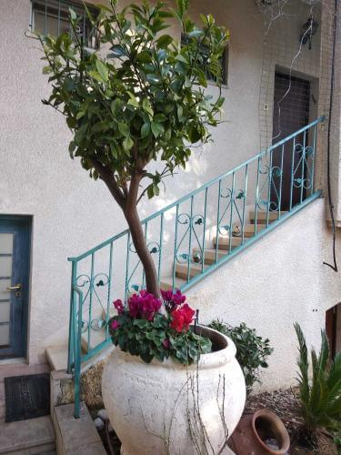 שתילת פרחים וצמחיה בכדים גדולים